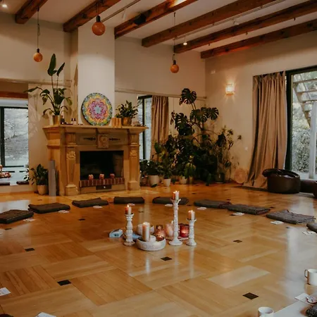 Blisshouse Luxurious Calm And Energetic Spot Near By Surrounded By The Forest Where Will Find Your Peace And Your People Guest house