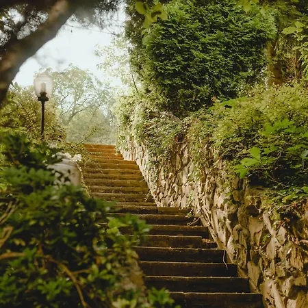 Blisshouse Luxurious Calm And Energetic Spot Near By Surrounded By The Forest Where Will Find Your Peace And Your People Pensjonat *