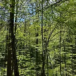 Vendégház Blisshouse Luxurious Calm And Energetic Spot Near By Surrounded By The Forest Where Will Find Your Peace And Your People